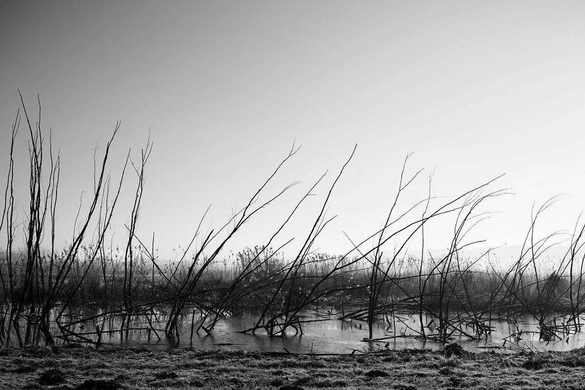 _DSC0759.jpg1.0 _DSC0759.jpg1.0