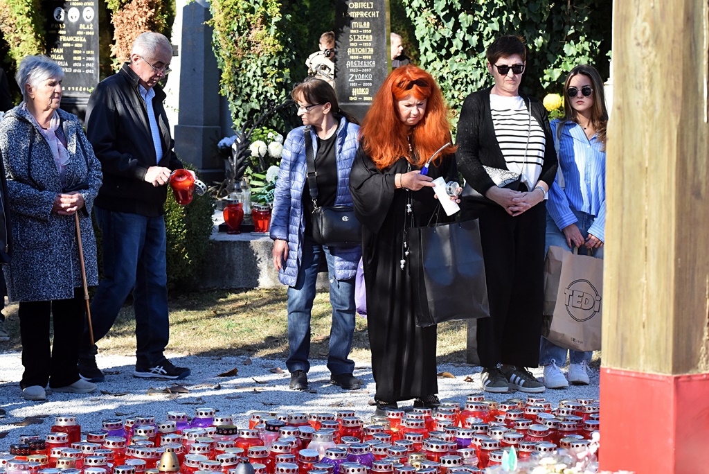 DSC_0337_batch2 DSC_0337_batch2