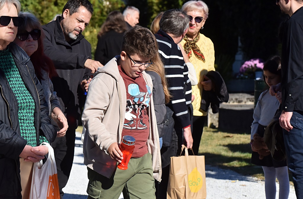 DSC_0339_batch2 DSC_0339_batch2