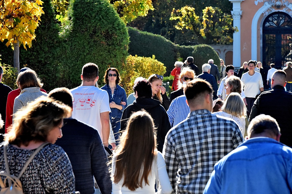 DSC_0351_batch2 DSC_0351_batch2