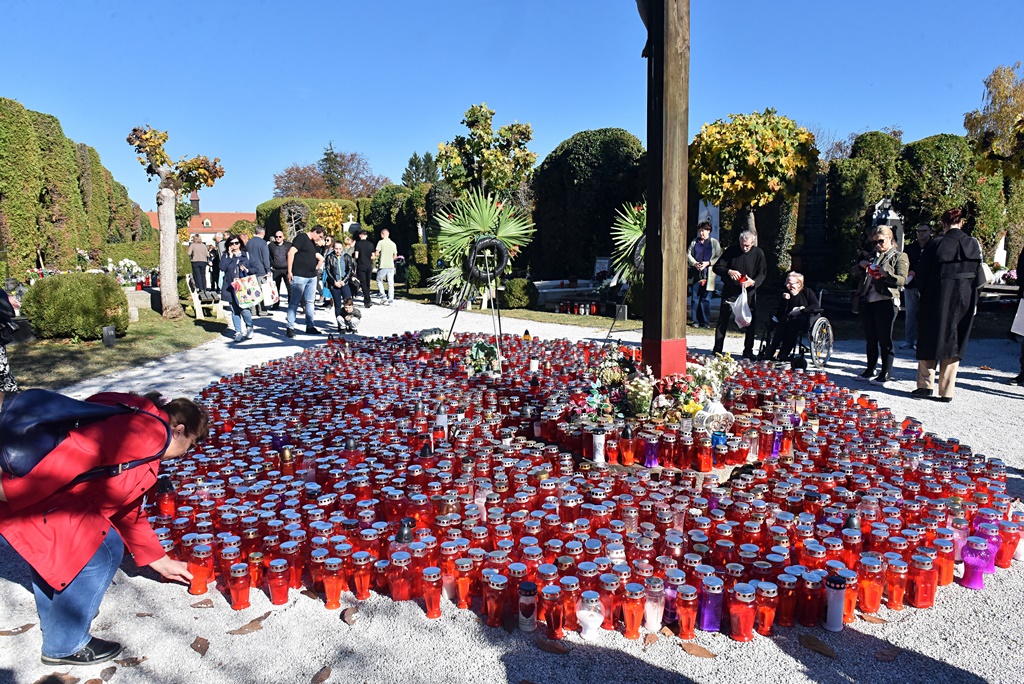 DSC_0409_batch2 DSC_0409_batch2