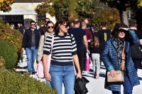 DSC_0484_batch2 DSC_0484_batch2