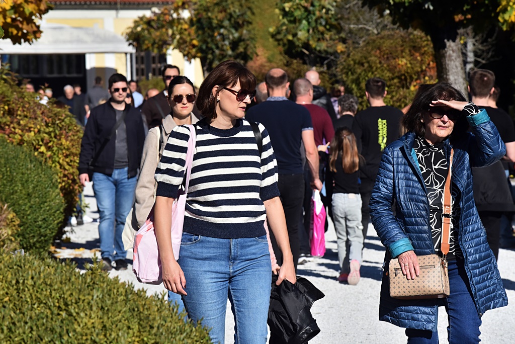 DSC_0484_batch2 DSC_0484_batch2