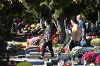 DSC_0519_batch2 DSC_0519_batch2