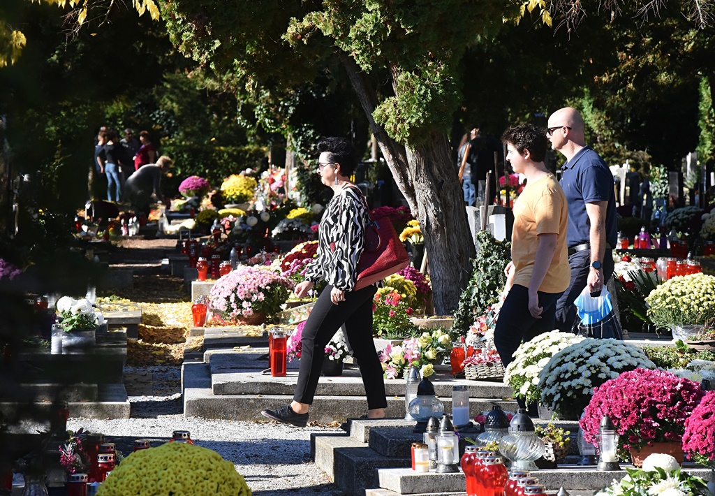 DSC_0519_batch2 DSC_0519_batch2