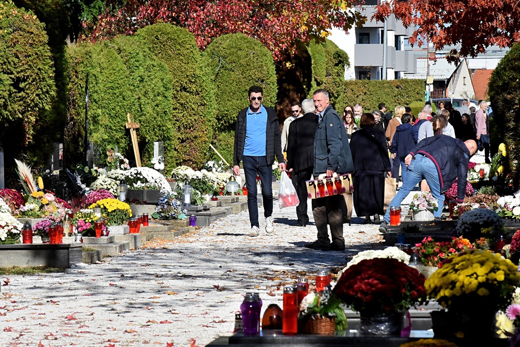 DSC_0557_batch2 DSC_0557_batch2