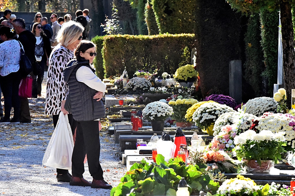 DSC_0569_batch2 DSC_0569_batch2