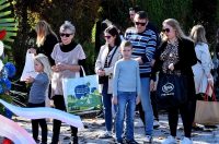 DSC_0614_batch2 DSC_0614_batch2