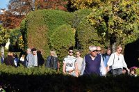 DSC_0626_batch2 DSC_0626_batch2