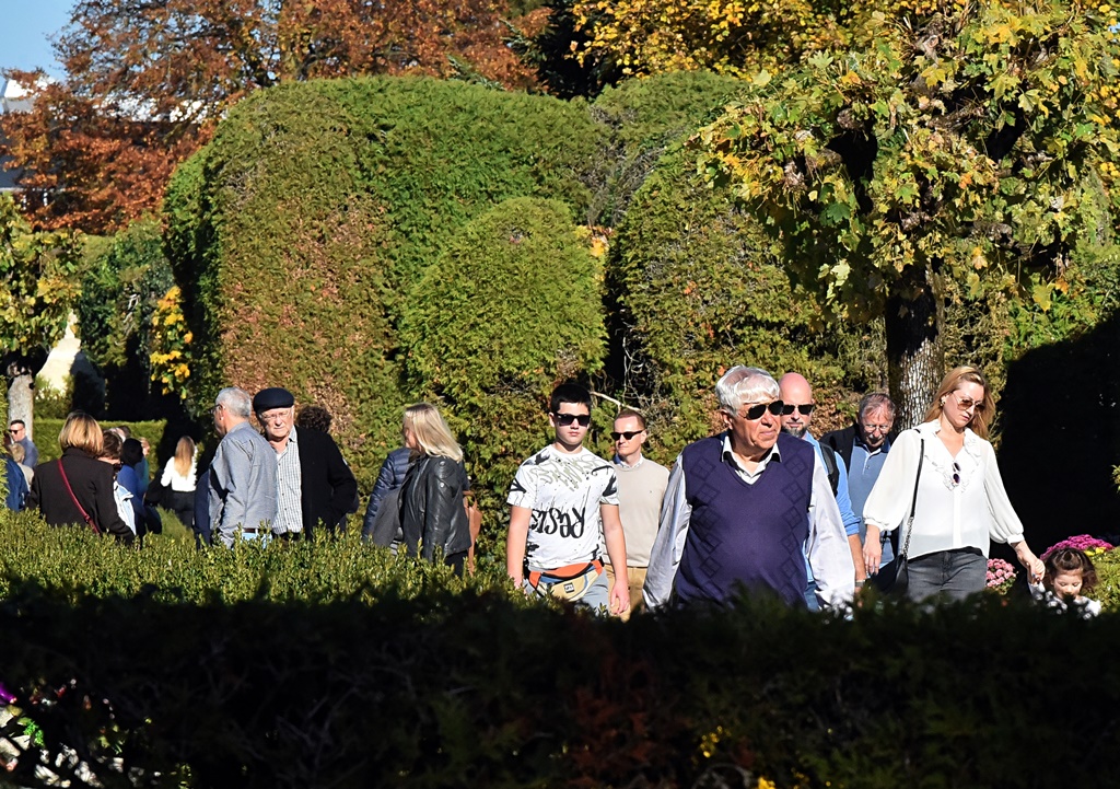 DSC_0626_batch2 DSC_0626_batch2