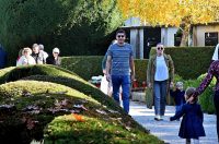 DSC_0633_batch2 DSC_0633_batch2