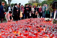 DSC_0944_batch2 DSC_0944_batch2