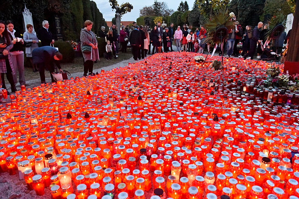 DSC_0981_batch2 DSC_0981_batch2