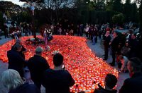 DSC_0994_batch2 DSC_0994_batch2