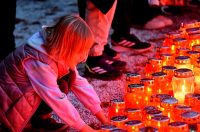 DSC_1050_batch2 DSC_1050_batch2