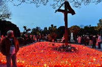 DSC_1062_batch2 DSC_1062_batch2