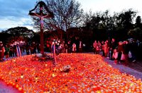 DSC_1067_batch2 DSC_1067_batch2