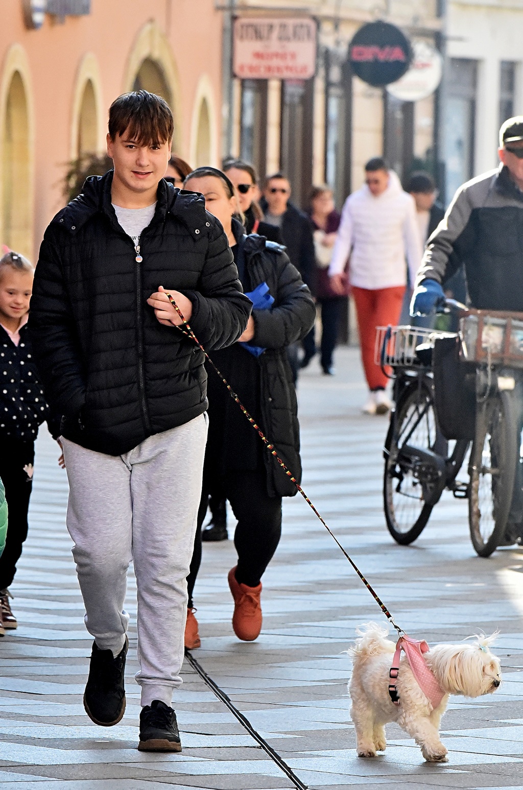 DSC_2113_batch2 DSC_2113_batch2