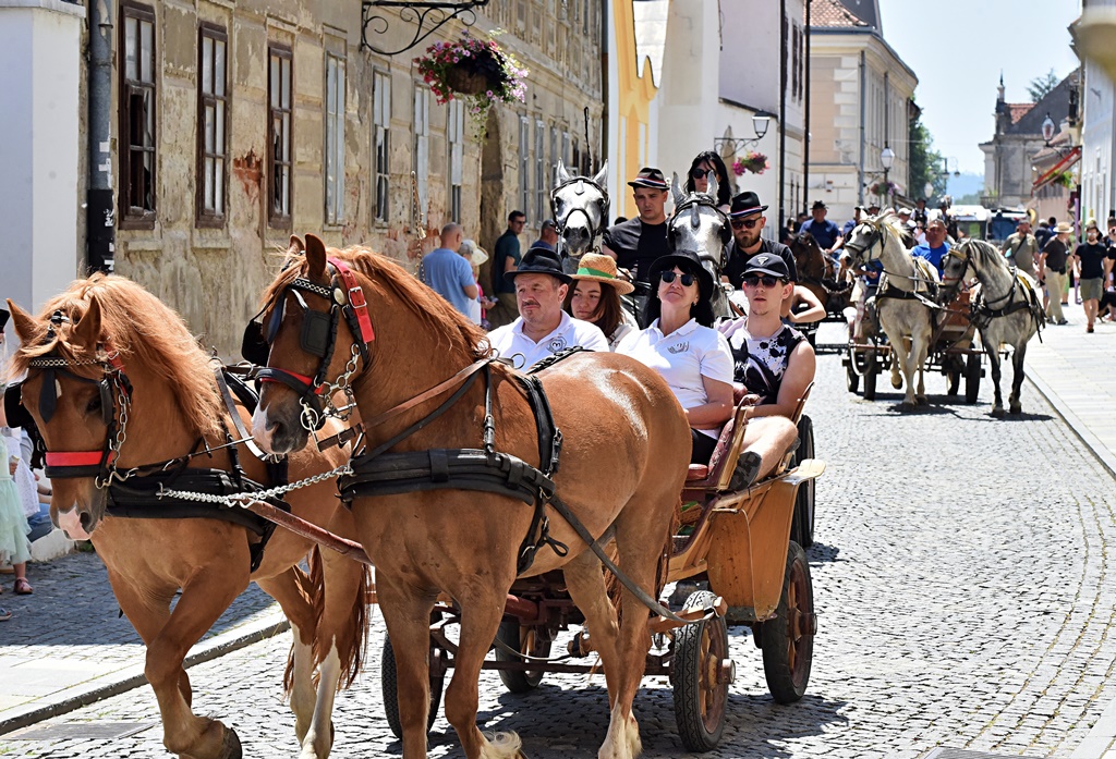 Dan kočija 2025 Vž hr (15)