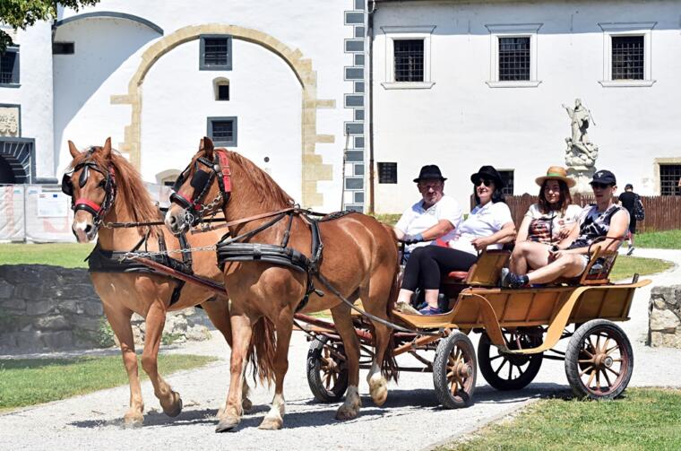 Dan kočija 2025 Vž hr (20)