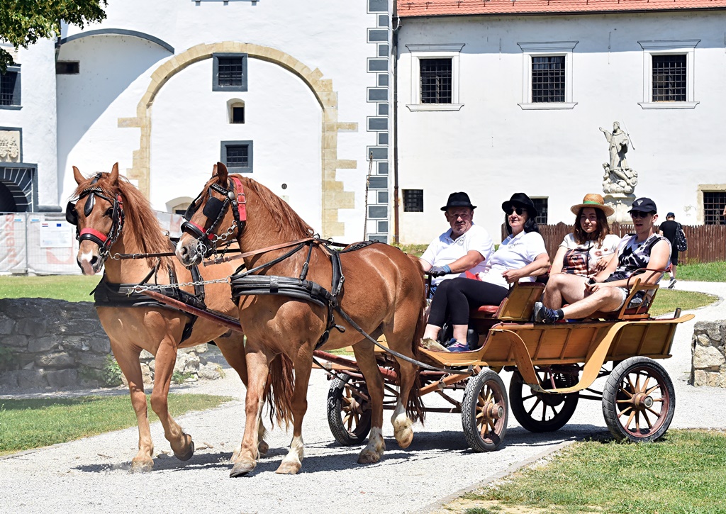 Dan kočija 2025 Vž hr (20)