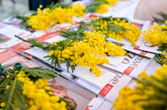 Dan_mimoza (12) Dan_mimoza (12)