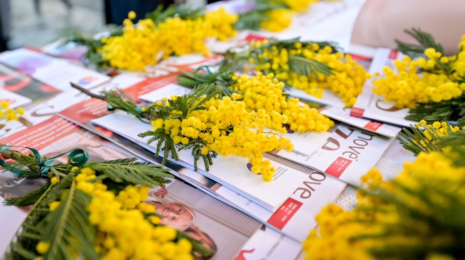 Dan_mimoza (12) Dan_mimoza (12)