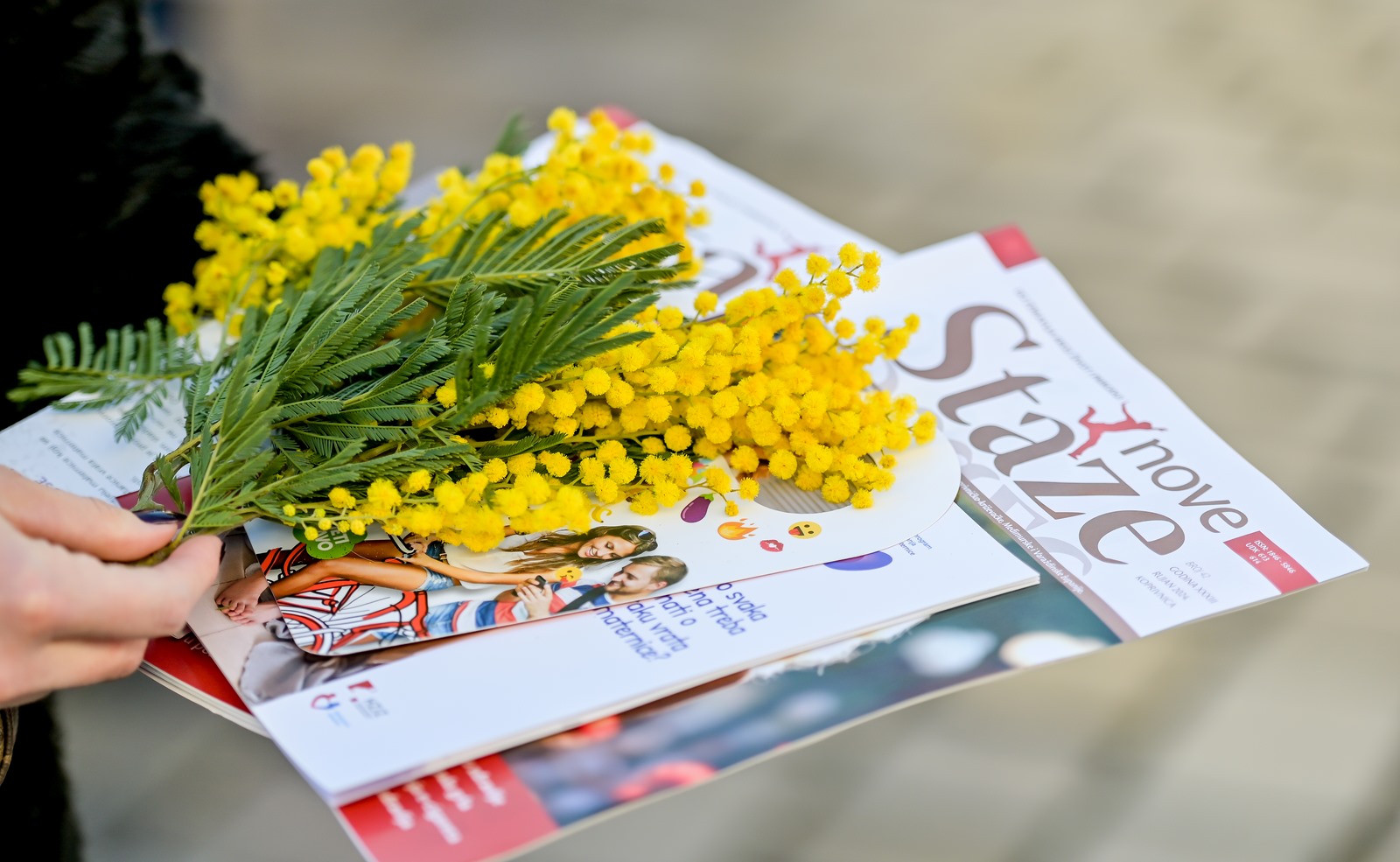 Dan_mimoza (20) Dan_mimoza (20)