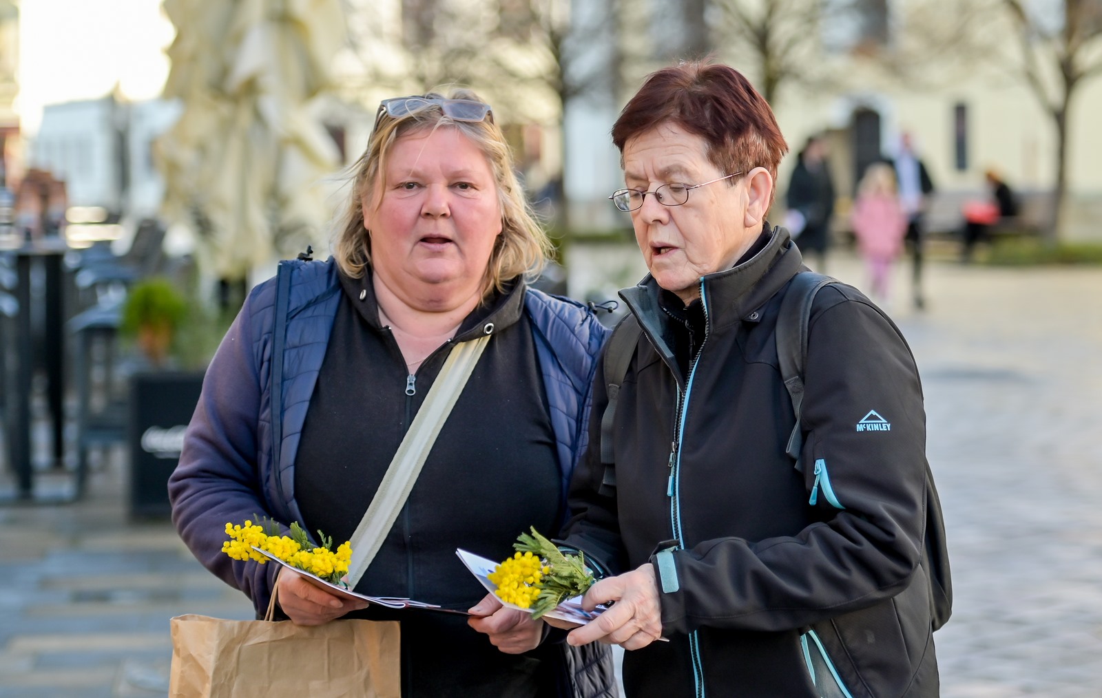 Dan_mimoza (28) Dan_mimoza (28)