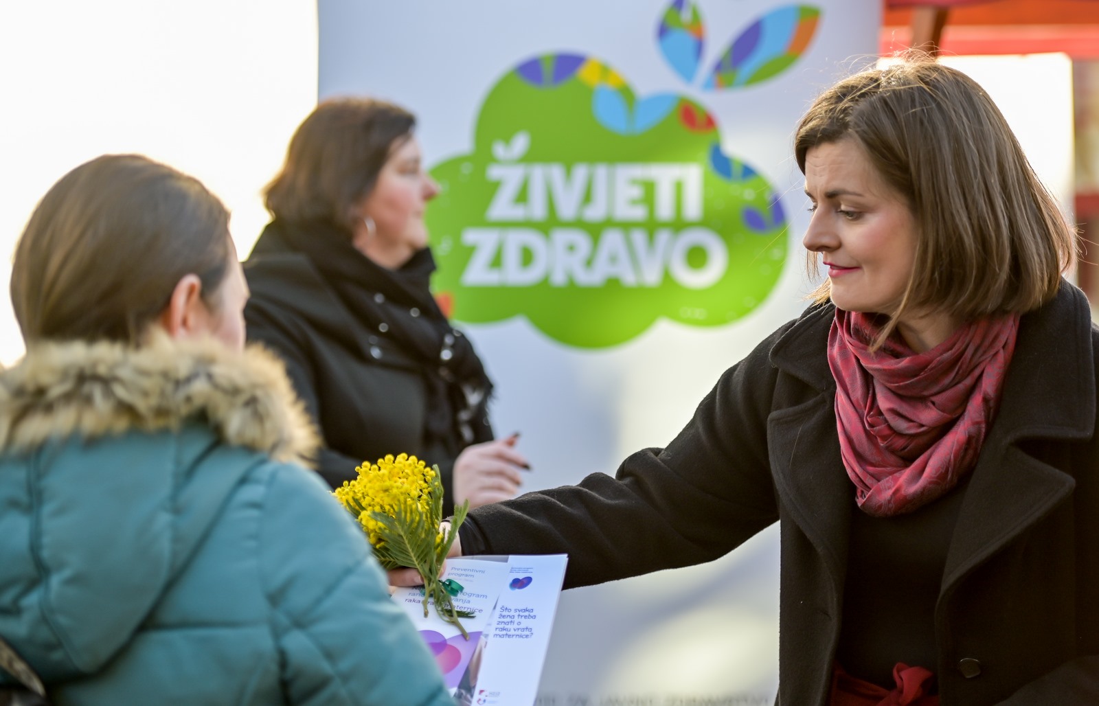 Dan_mimoza (29) Dan_mimoza (29)