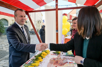 Dan_mimoza (9) Dan_mimoza (9)