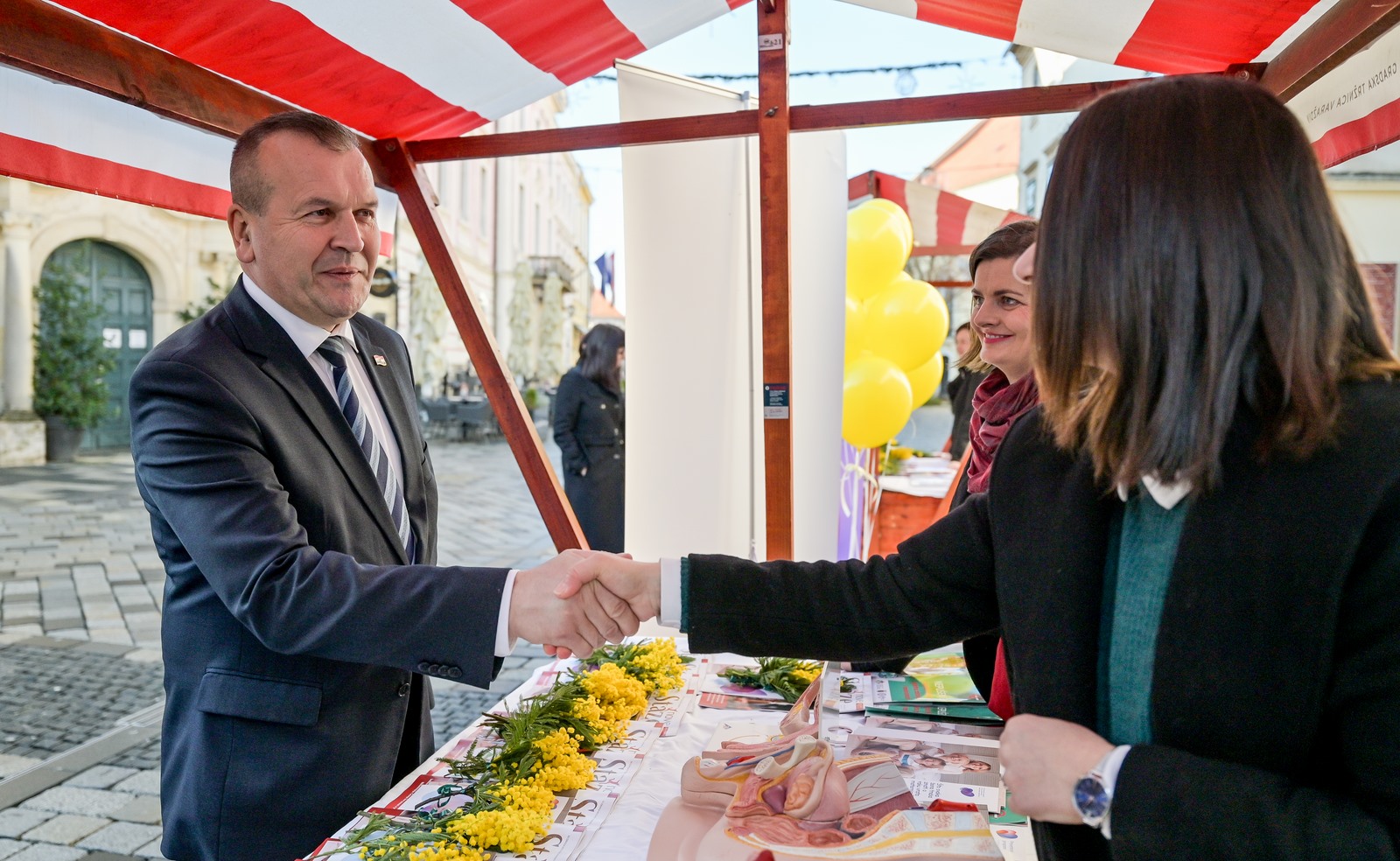 Dan_mimoza (9) Dan_mimoza (9)