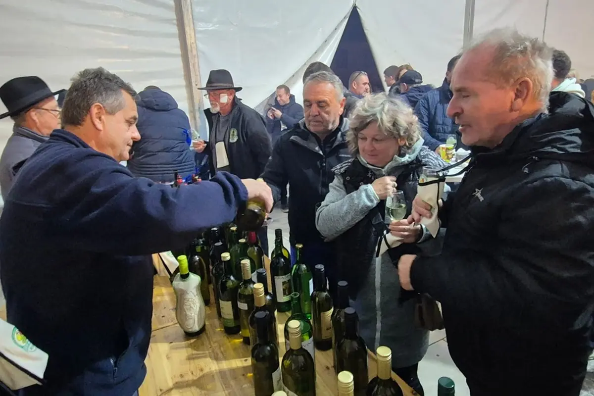 Dani Grada VŽ Toplice Martinje 09 studeni 2025 (1) Dani Grada VŽ Toplice Martinje 09 studeni 2025 (1)