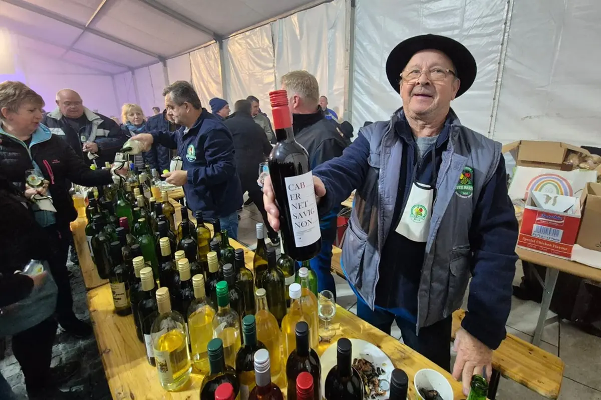 Dani Grada VŽ Toplice Martinje 09 studeni 2025 (2) Dani Grada VŽ Toplice Martinje 09 studeni 2025 (2)