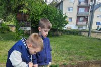 Dani Tratinčice (10)