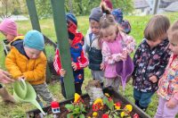 Dani Tratinčice (13)