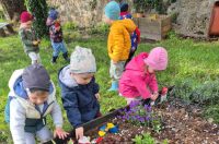 Dani Tratinčice (14)