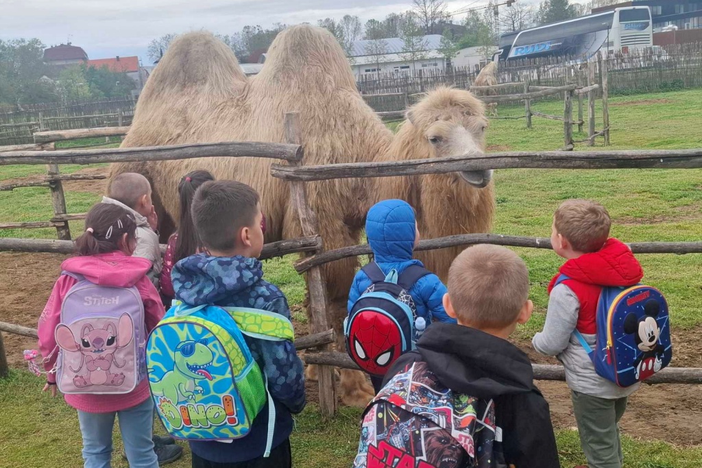 Dani Tratinčice (5)