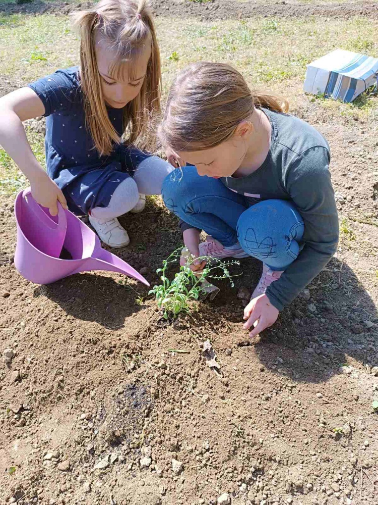 Dani Tratinčice (7)