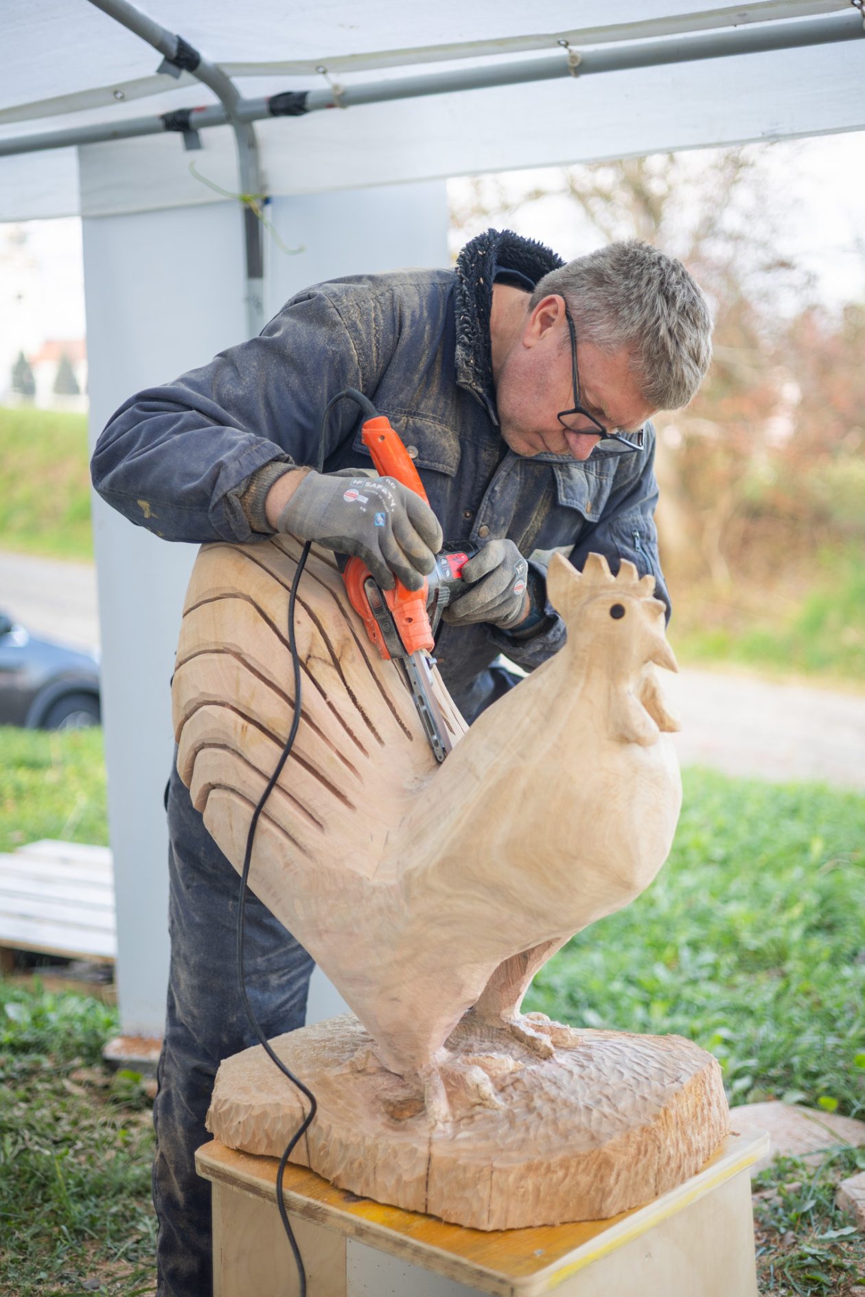 Dani_opcine_DV_11 Dani_opcine_DV_11