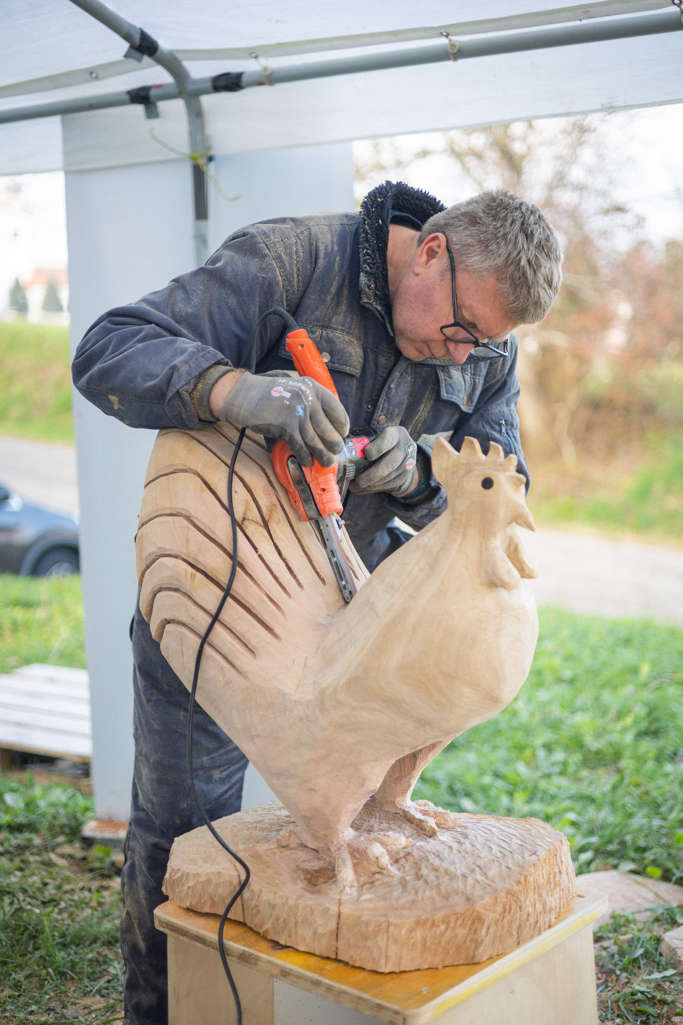 Dani_opcine_DV_11 Dani_opcine_DV_11