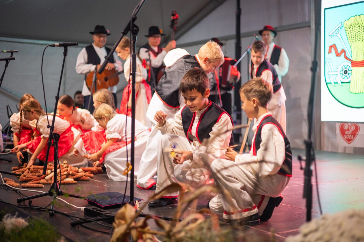 Dani_opcine_DV_20 Dani_opcine_DV_20