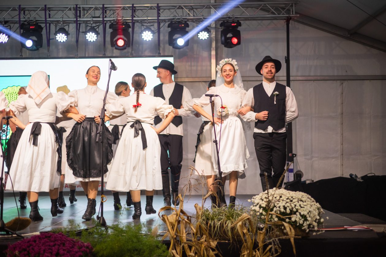 Dani_opcine_DV_25 Dani_opcine_DV_25