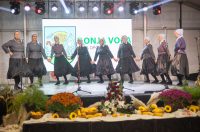 Dani_opcine_DV_28 Dani_opcine_DV_28