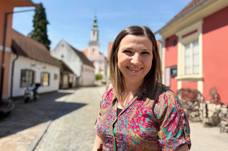 Dijana Telebar VGG