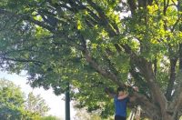 Erasmus, OŠ Novi Marof (4)