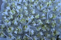 Etno dan Martijanec_Foto Novak Ludbreg (31)