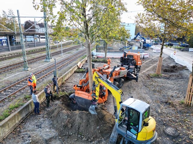 FOTOGRAFIJA RAVENSBURG DRVO_3