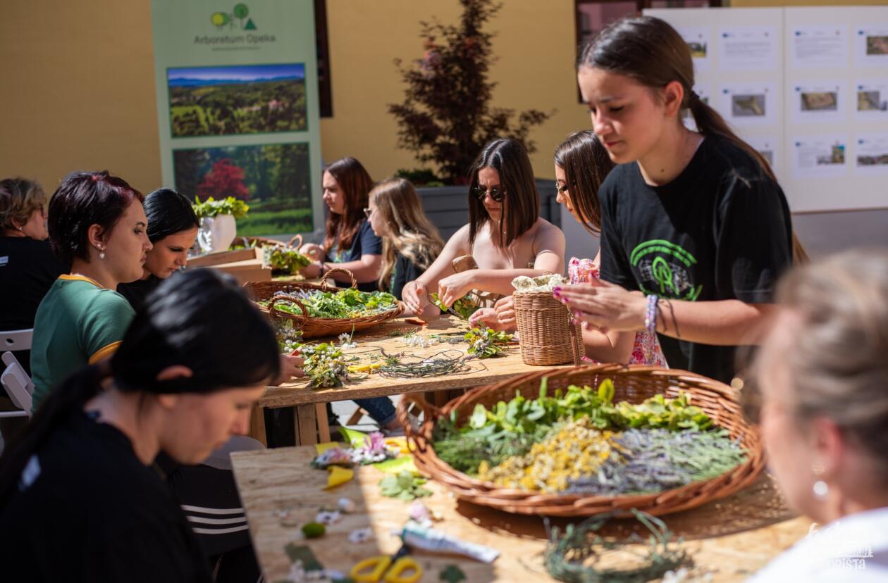 Festival varaždinskih dvorišta 2025 tzgv (15) Festival varaždinskih dvorišta 2025 tzgv (15)