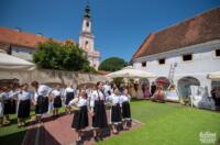 Festival varaždinskih dvorišta 2025 tzgv (16)